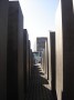 DSC02748.jpg