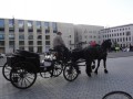 DSC02779.jpg
